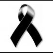 Liga Suspendida